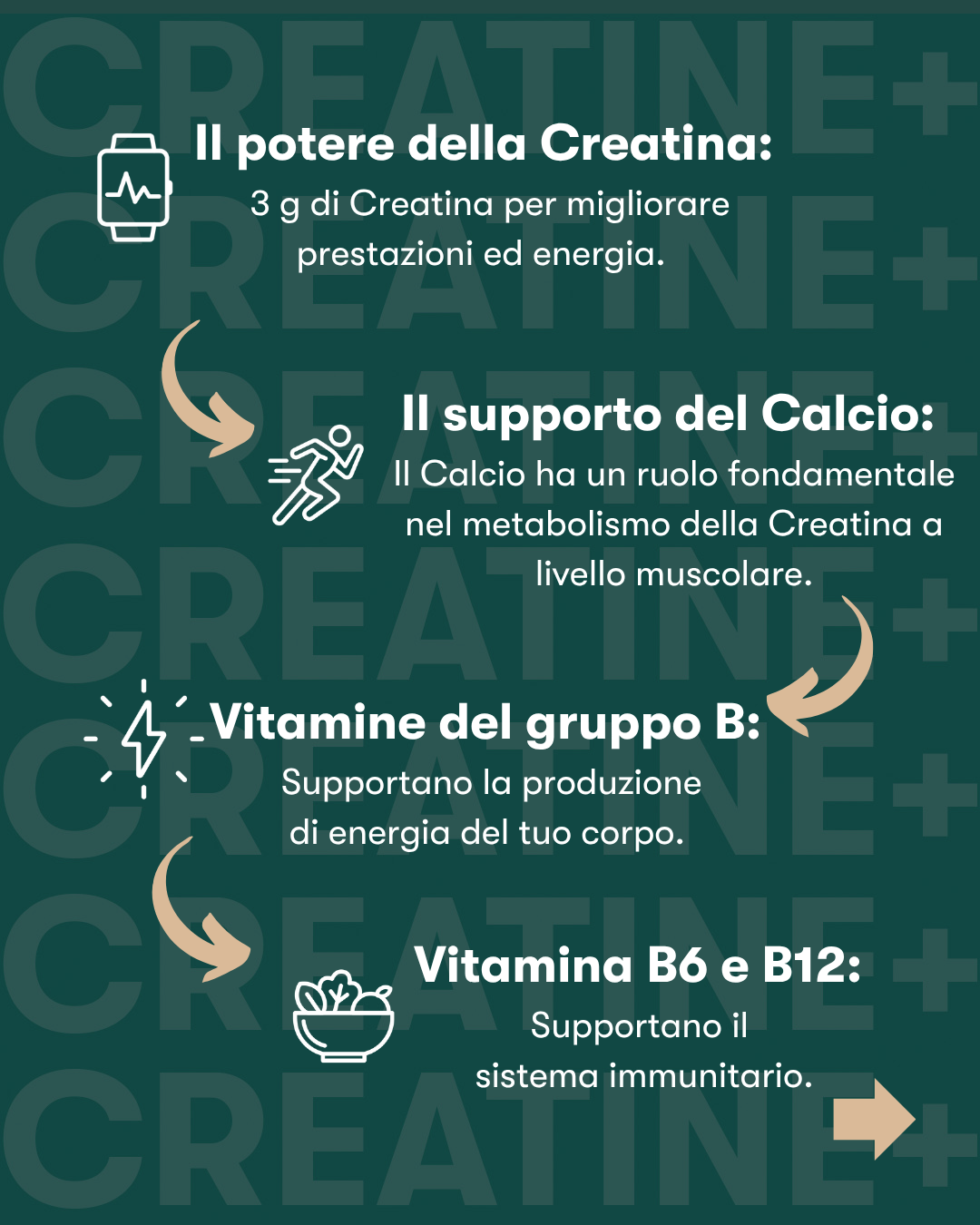 Herbalife24 Creatine+