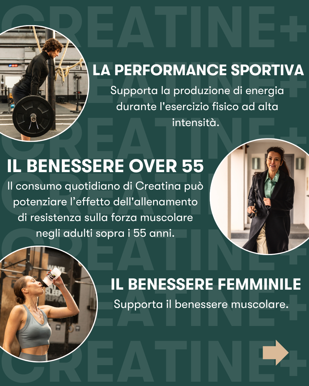 Herbalife24 Creatine+